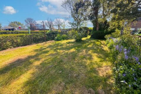Back Garden