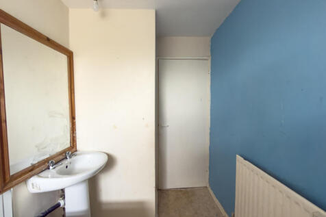 IMG 9245 T202512121045.jpg