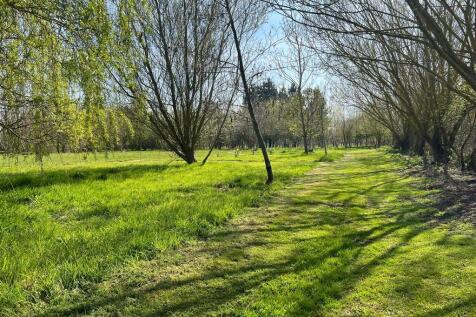 IMG-20250414-WA00...