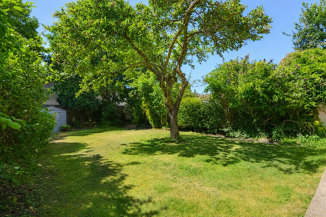 garden rear from front s.png