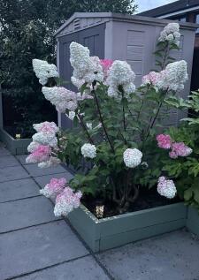 image00040