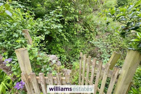 Stream at rear of garden