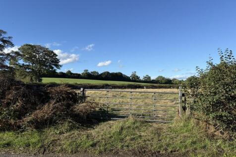 IMG_5273.JPEG