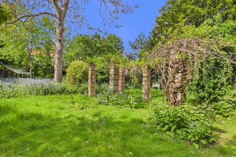 Back Garden