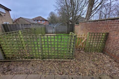 Back garden