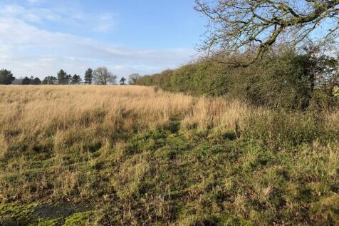 2  Medium  T202602100918.jpg