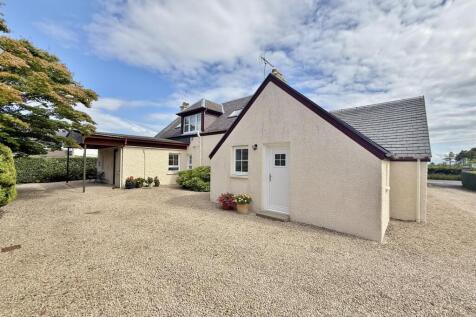 Rear of Wellingtonia and Little Wellingtonia