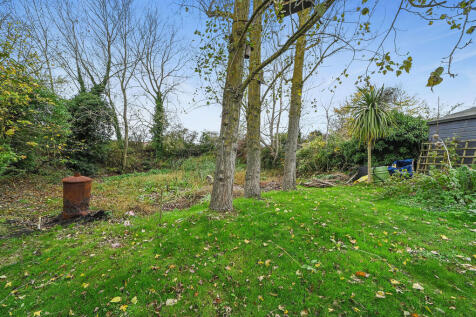 HT-FC(COL)-VineHo...