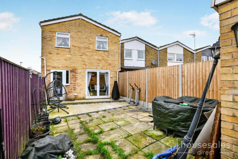 Back Garden