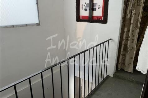 Image 15