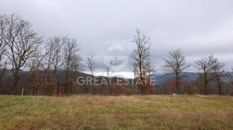 Panorama e Particolari