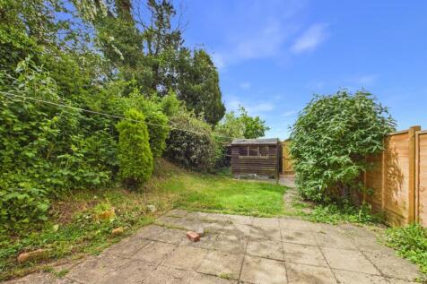 Back garden