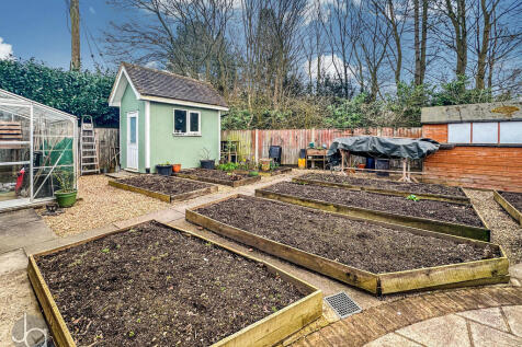 20250310_16303392...