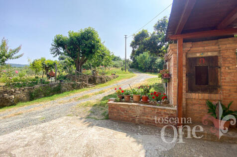 casale antonella -12