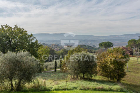 Panorama e Particolari