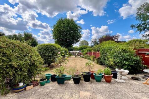 Garden 4