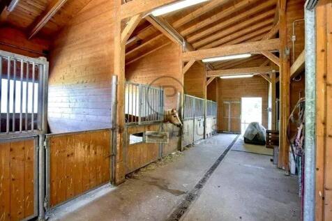 Spacious interior of a horse stable with wooden be