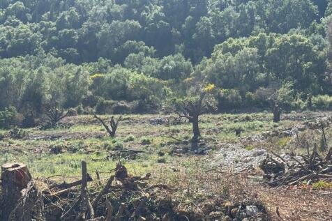 Terrain &amp; landscape