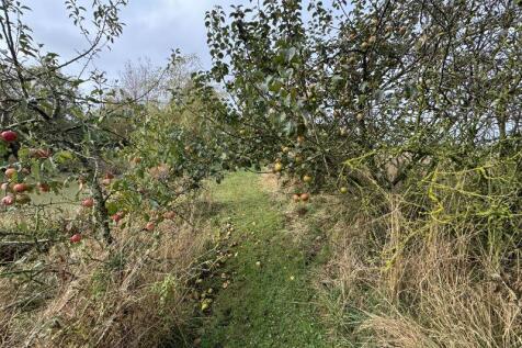 Fruit trees