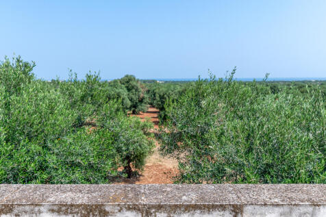 49_MASSERIA ALBERO DOLCE_puglia_raro_realty