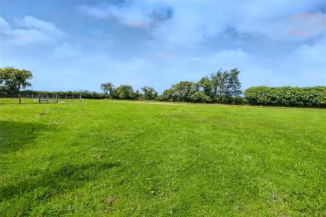 Field