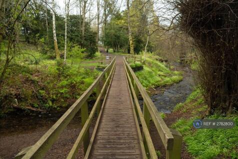 Dreghorn Woods 2