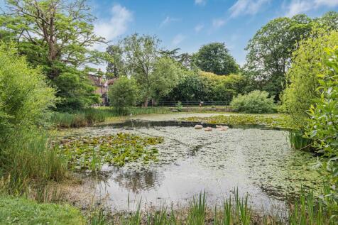 Village Pond