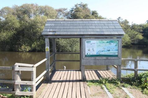 Sophie Pond.JPG