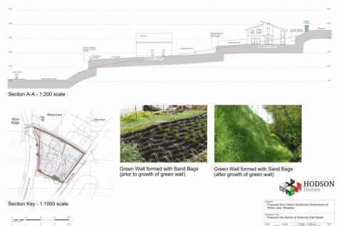Site Section