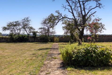 Rear garden (2)