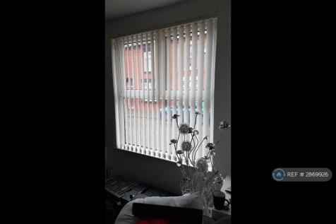 Front Window