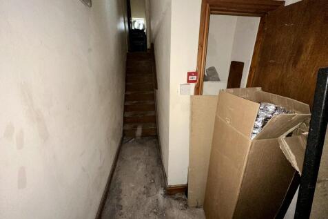 IMG 3941 T202510202156.jpeg