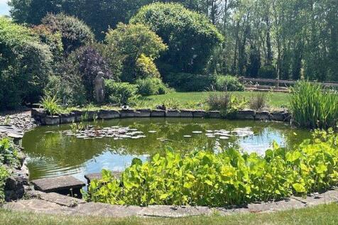 Seasonal Imge Garden