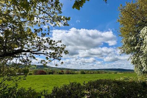 Fabulous Views