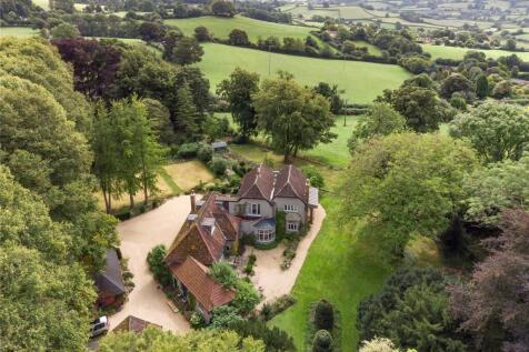 Aerial View 2