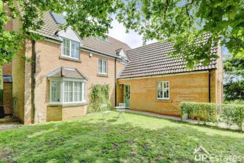 Property Image 41