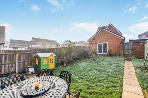 Back Garden