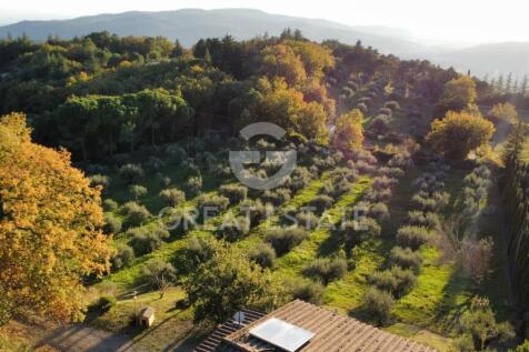 Panorama e Particolari