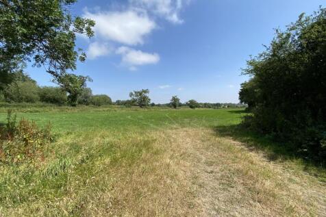 IMG_1582.jpeg