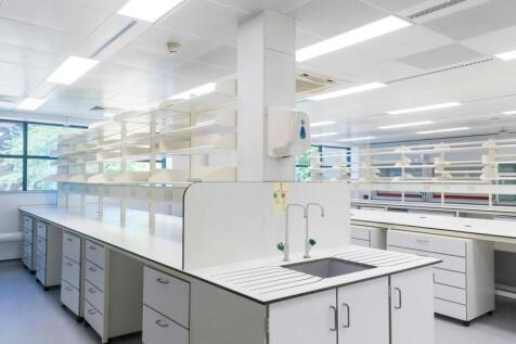 Minerva  lab