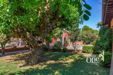 poggio alle talpe -9