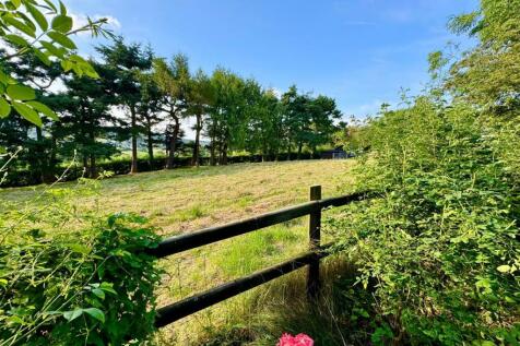 PHOTO-2024-07-16-21-55-21 (12).jpg