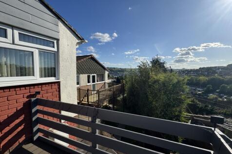 view (2)