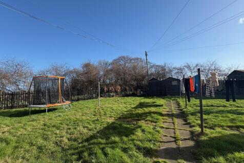 Back garden_1