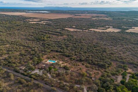DJI_0861 copia.jpg