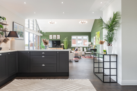Show Home 