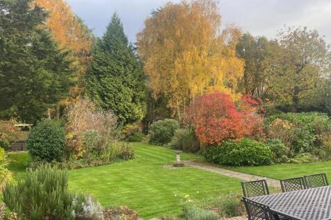 Garden in Summer