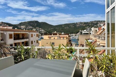 04-Port d´Andratx-City Penthouse-Pflanzen