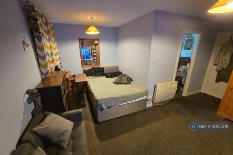 Main Living Space (Living Room/Diner/Bedroom)