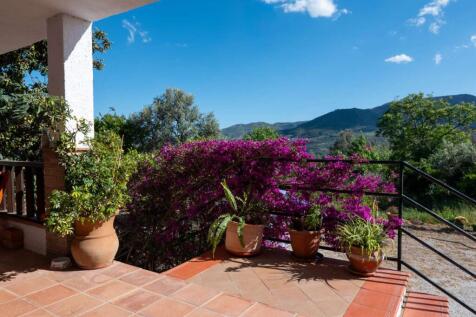 Property Image 33